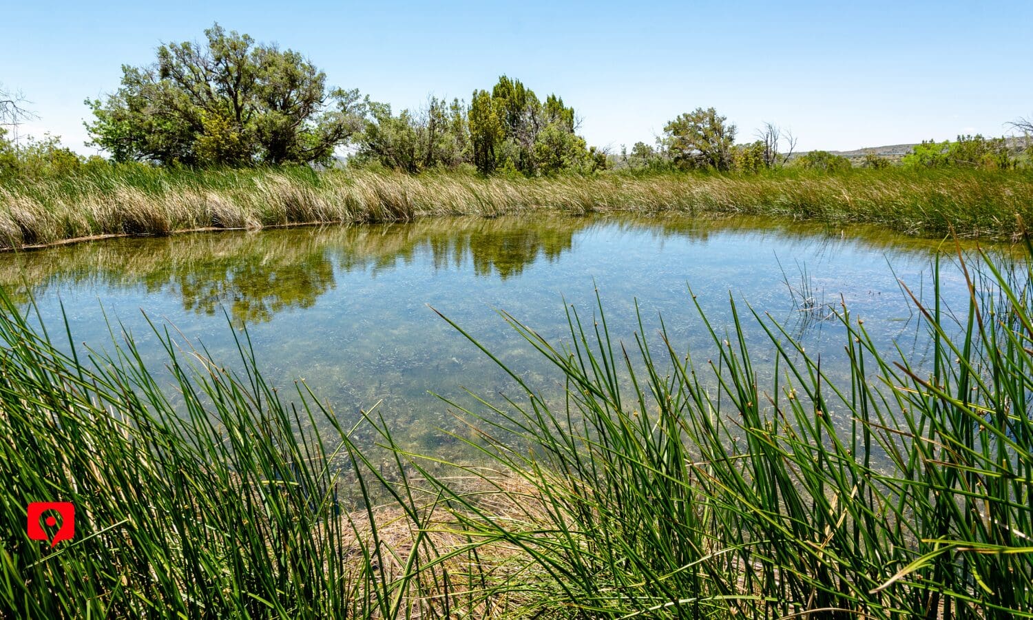Manzanita Spring