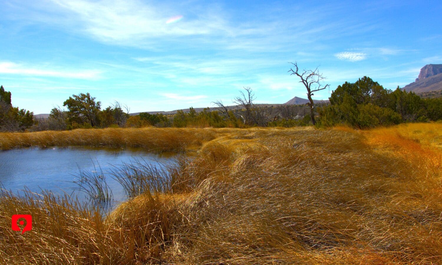 Manzanita Spring Trail