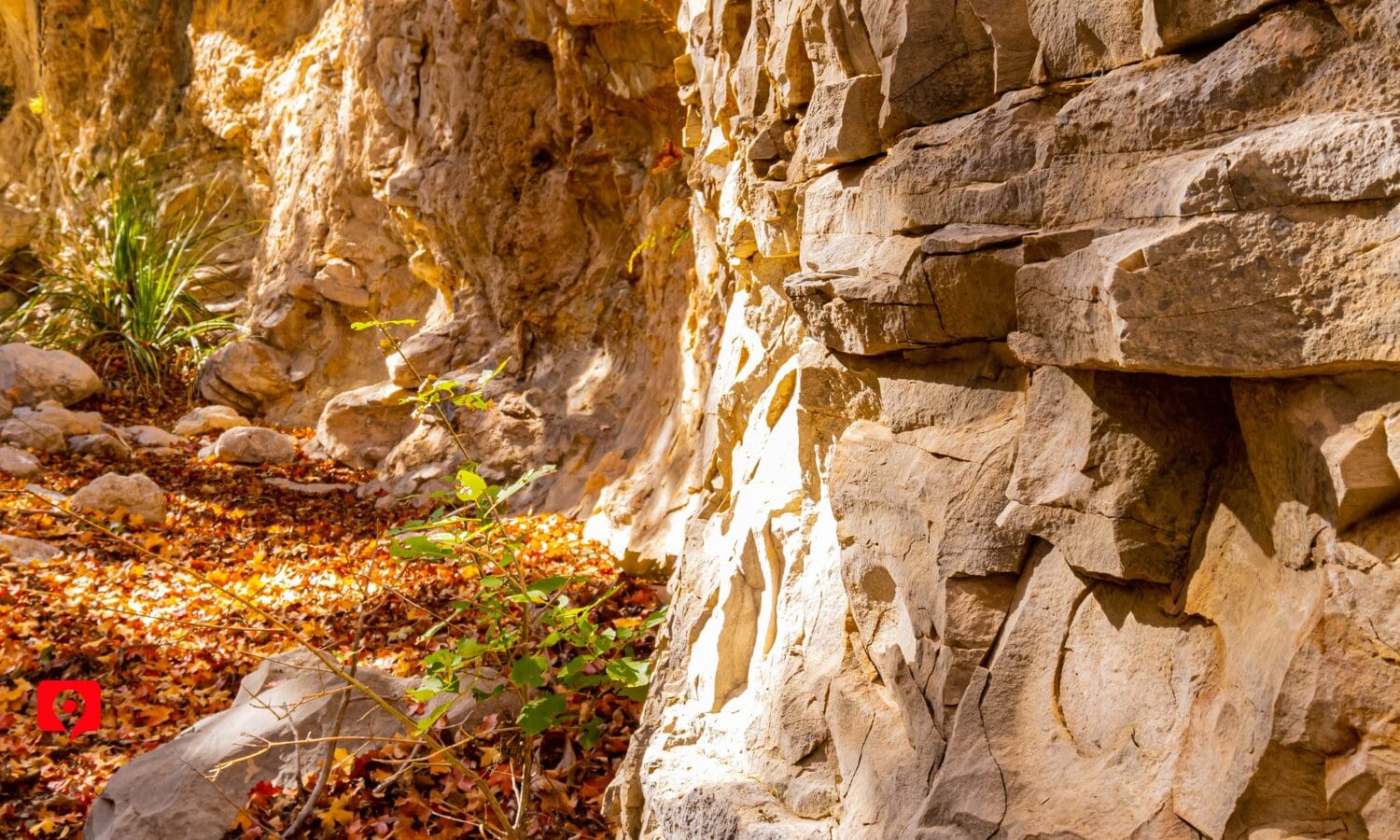 McKittrick Canyon