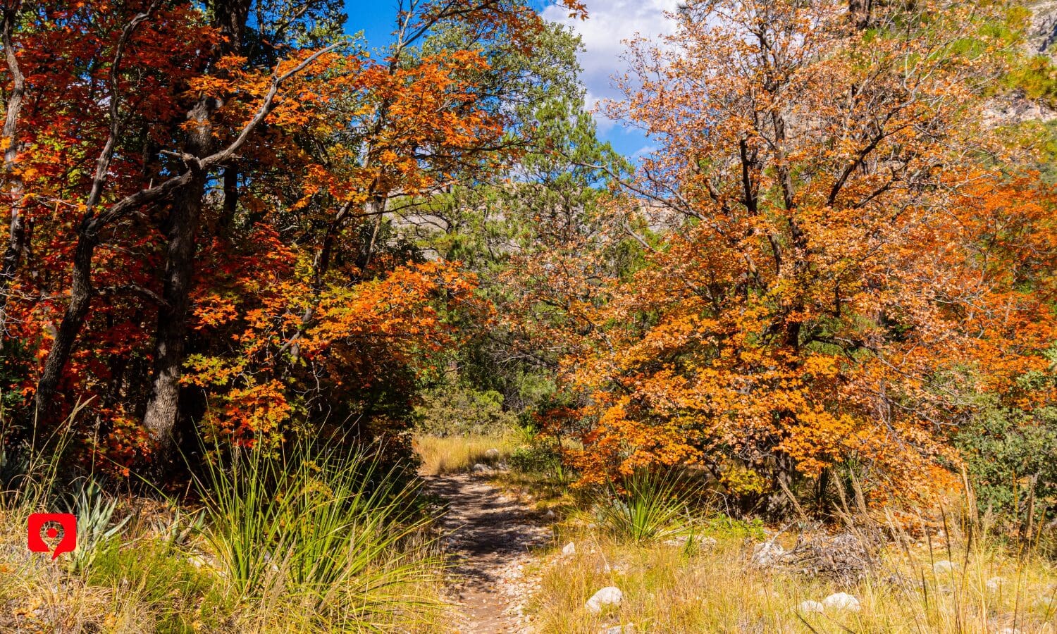 McKittrick Canyon Trail