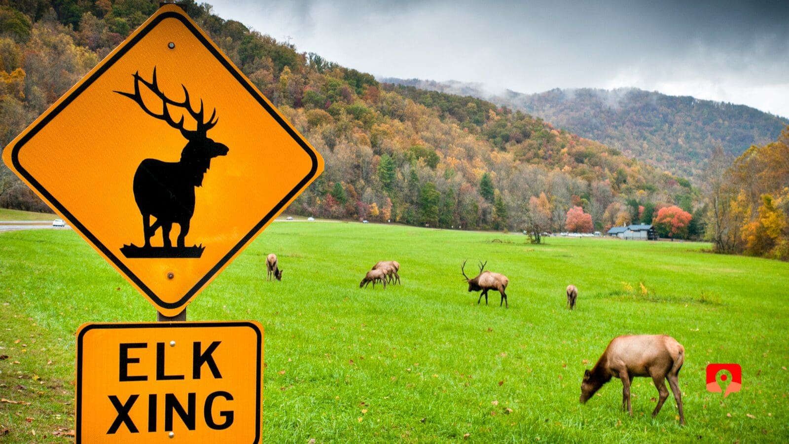 Great Smoky Mountains National Park with GyPSy Guide Audio Driving Tour App