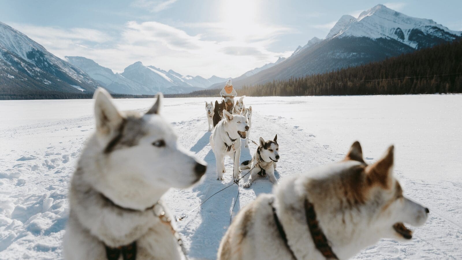 Canadian Rockies with GyPSy Guide Driving Tour App
