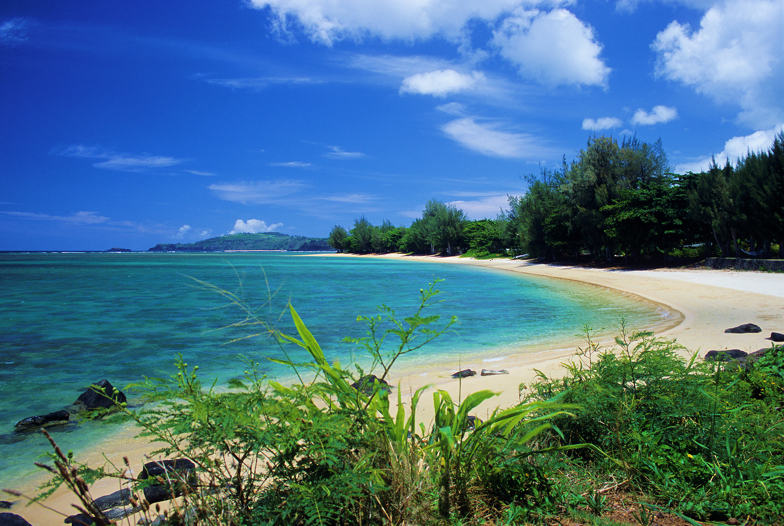 beautiful anini beach is located on the north shore of kauai, hawaii.
