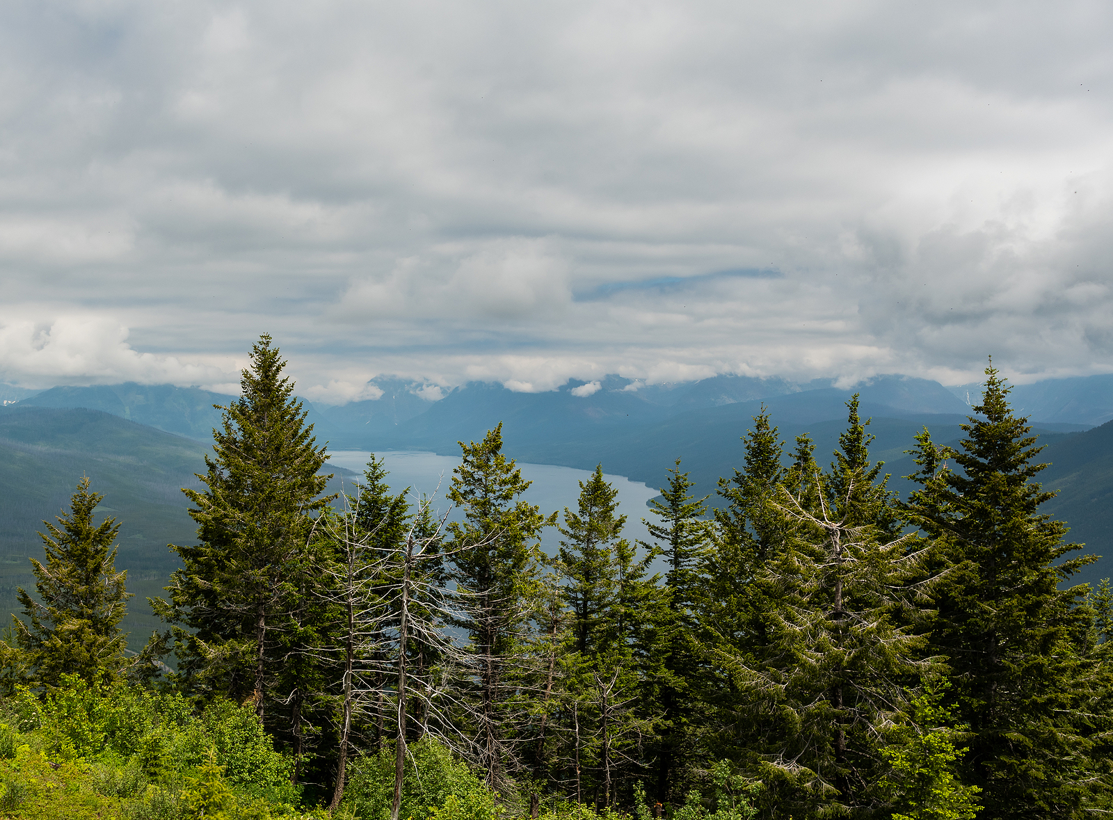 Lake Macdonald From Apgar Lookout Trail In Glacier Wilderness
