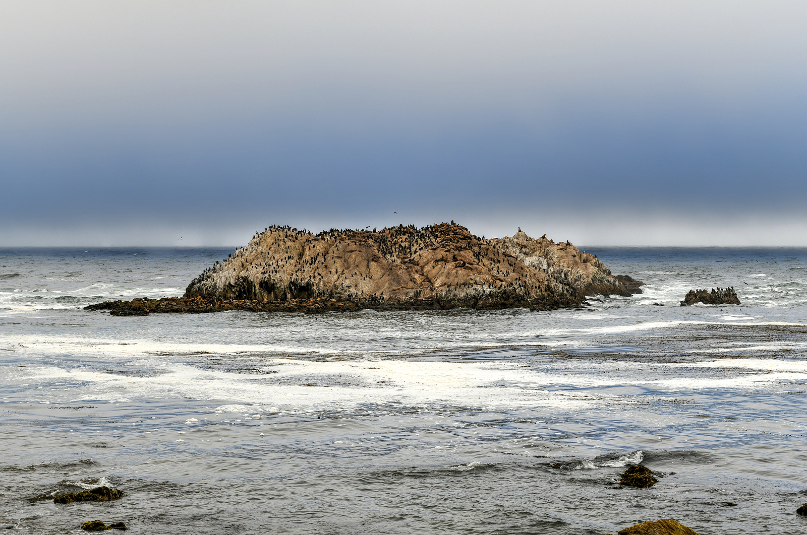 Bird Rock Is One Of The Most Popular Stops Along The 17-mile Dri