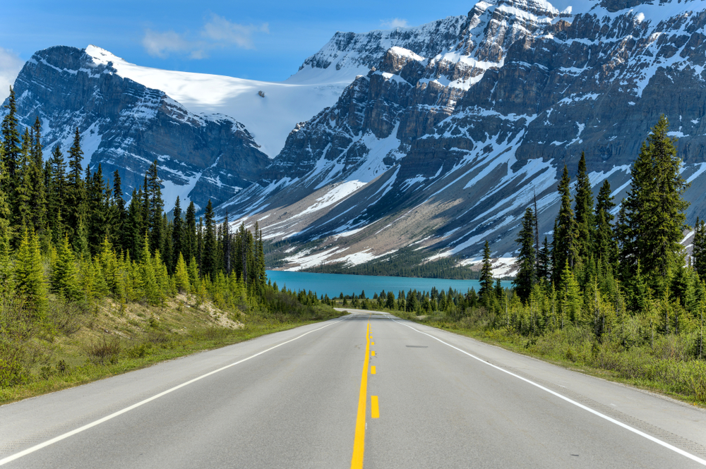 Icefields,Parkway,At,Bow,Lake,-,A,Spring,Evening,View