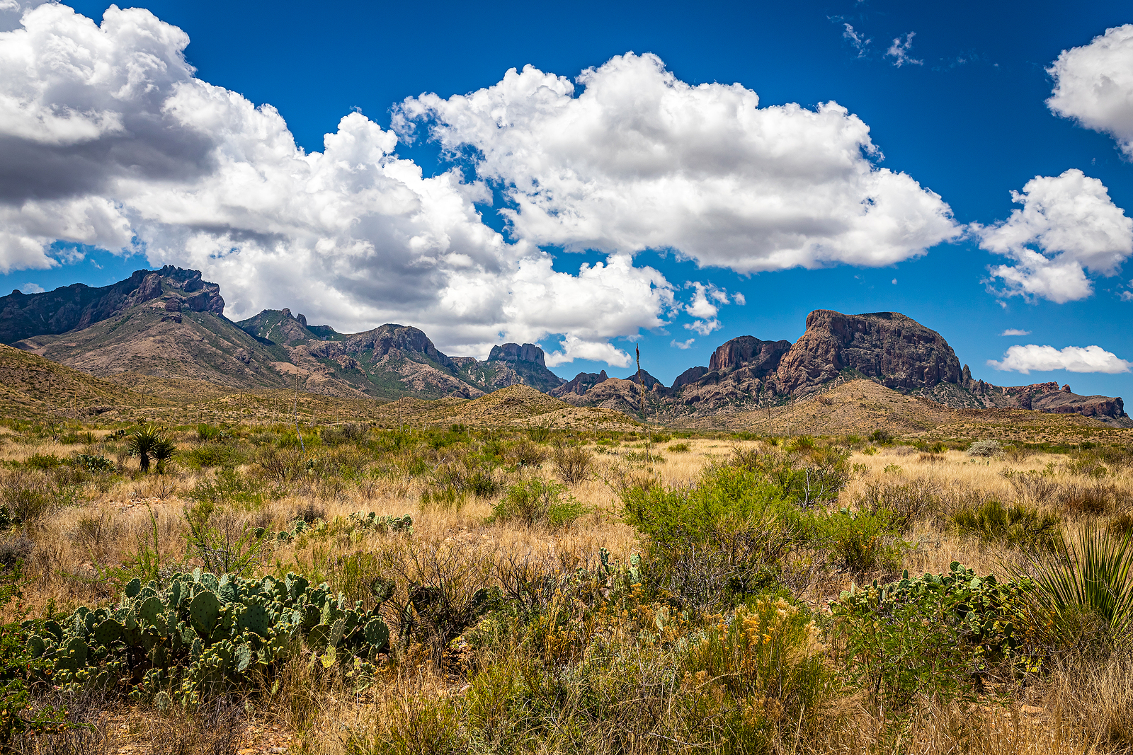 View  Of Chisos Mountains From Gano Springs Road Near Basin Junc