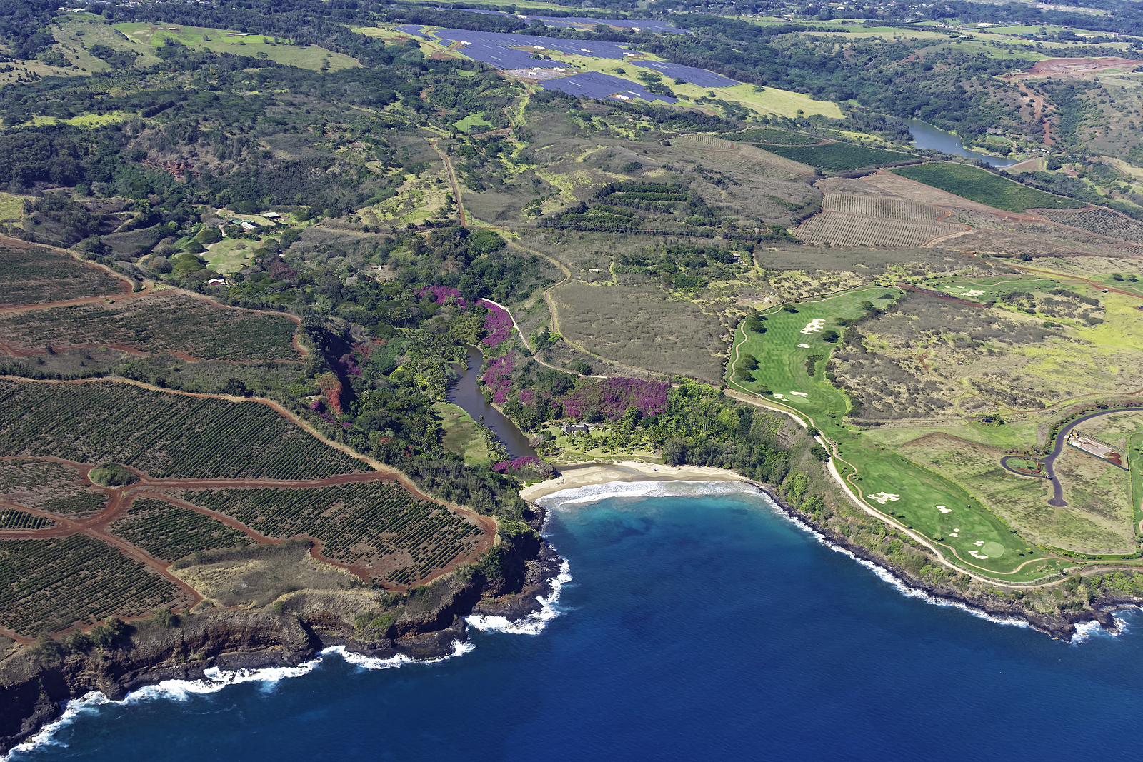 Aerial view of the Kauai south coast showing coffee plantations near Poipu Kauai Hawaii USA