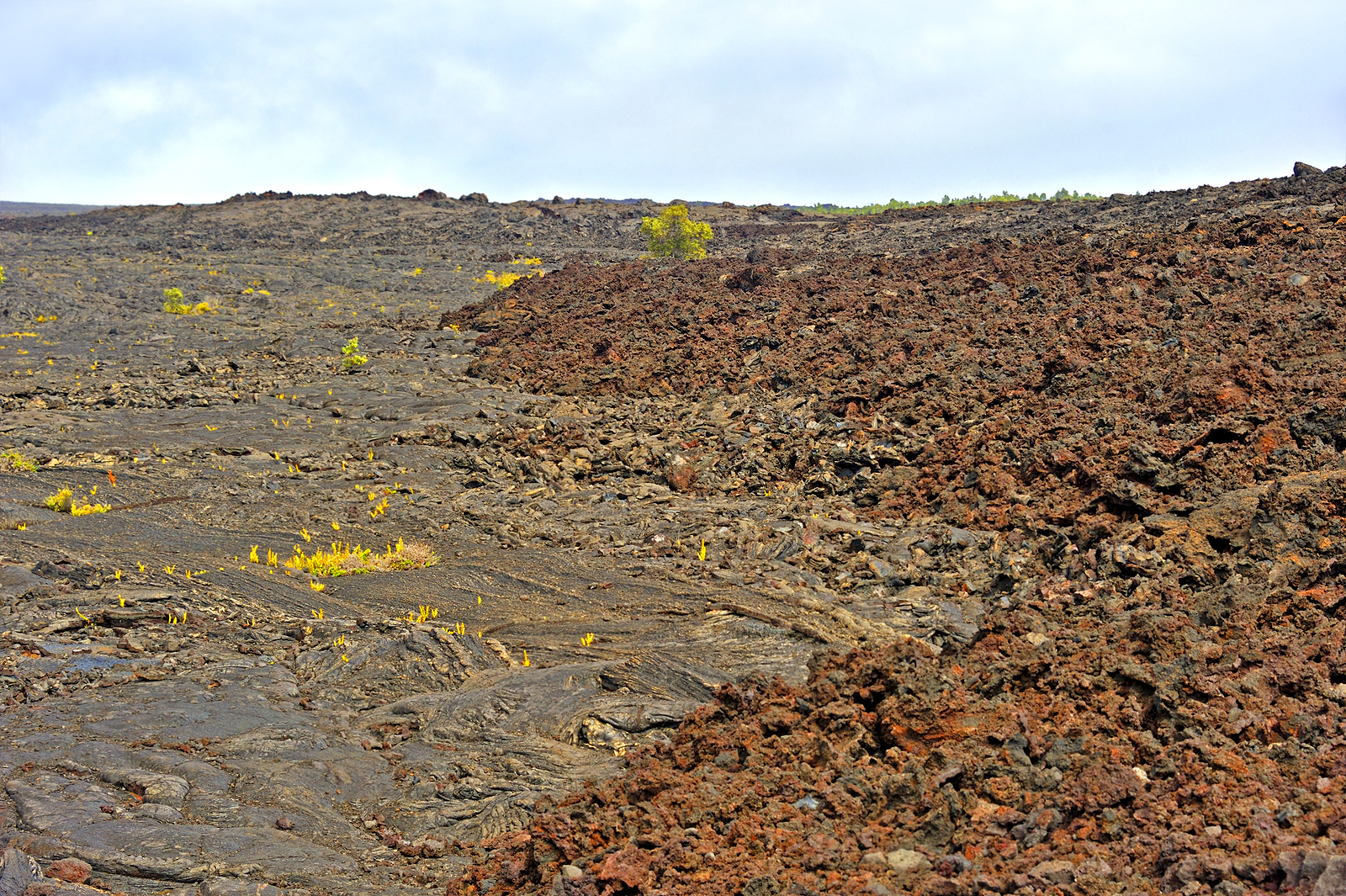 Lava along the Devastation Trail in the Volcanic National Park, Big Island, Hawaii