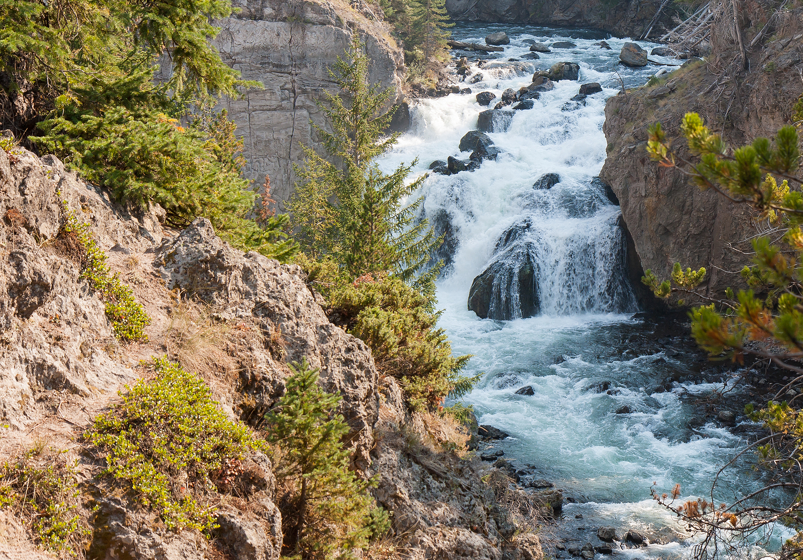 The Firehole River at Yellowstone National Park is a picturesque pristine waterway.