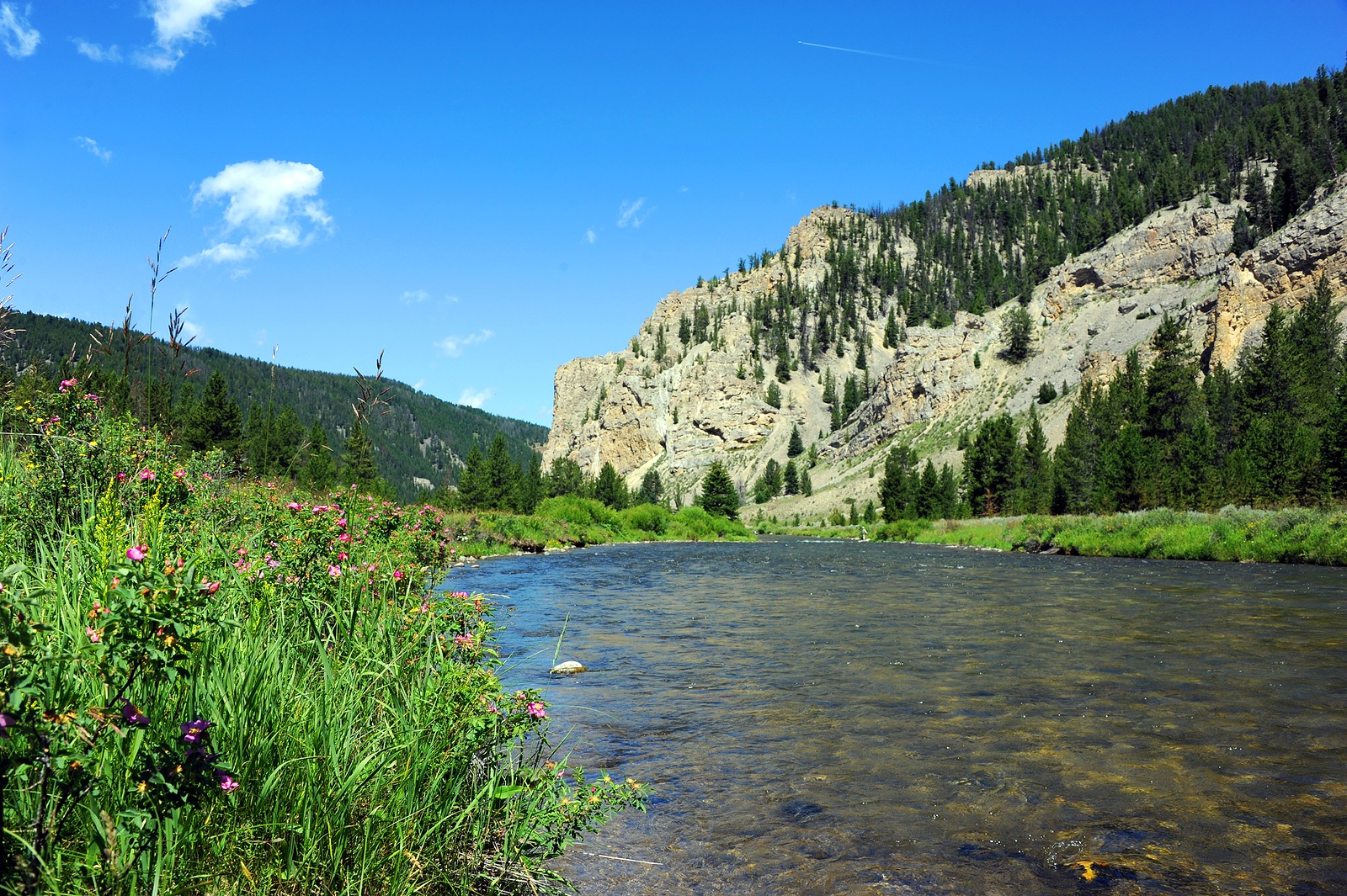 Gallatin River