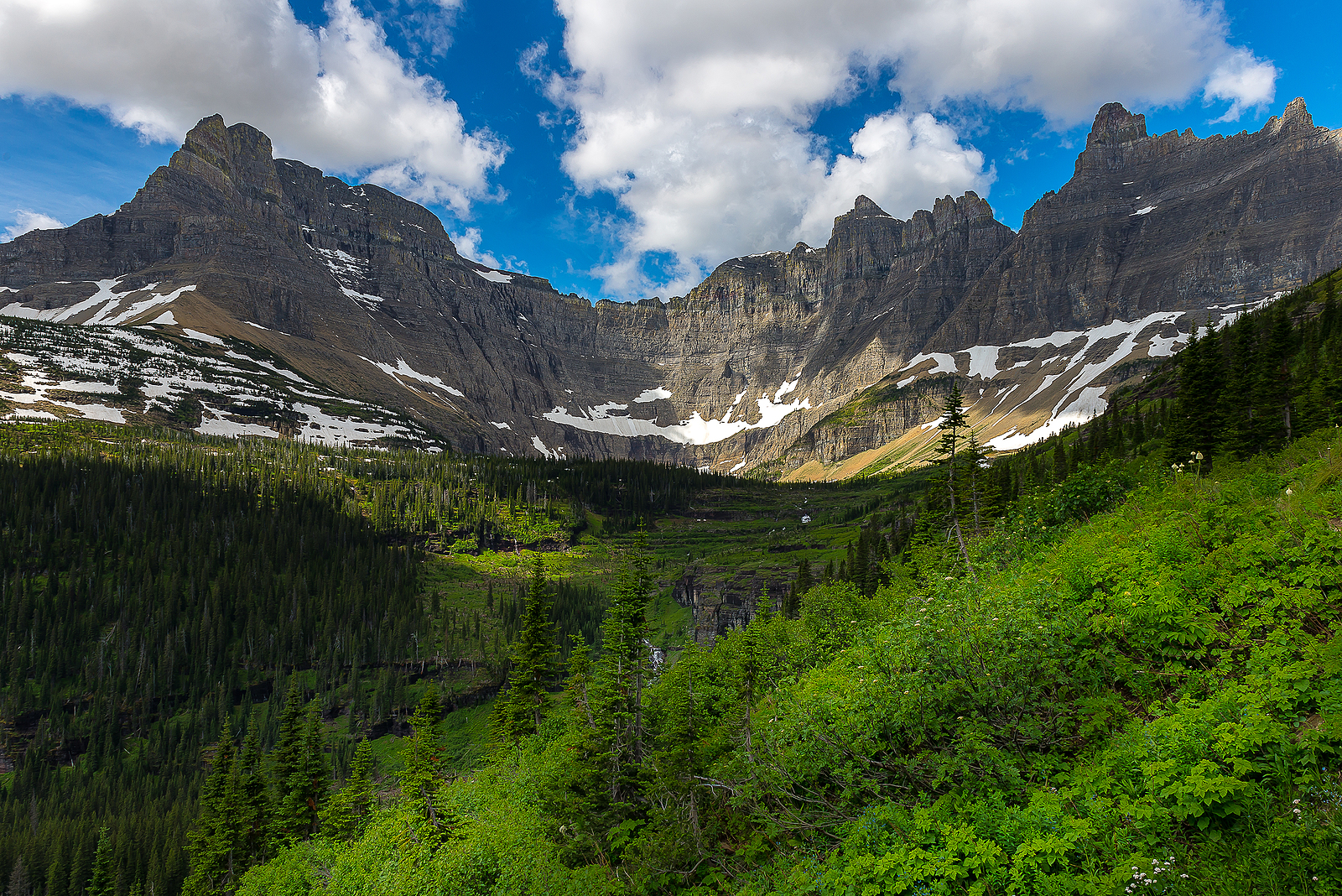 Scenic View In Glacier National Park