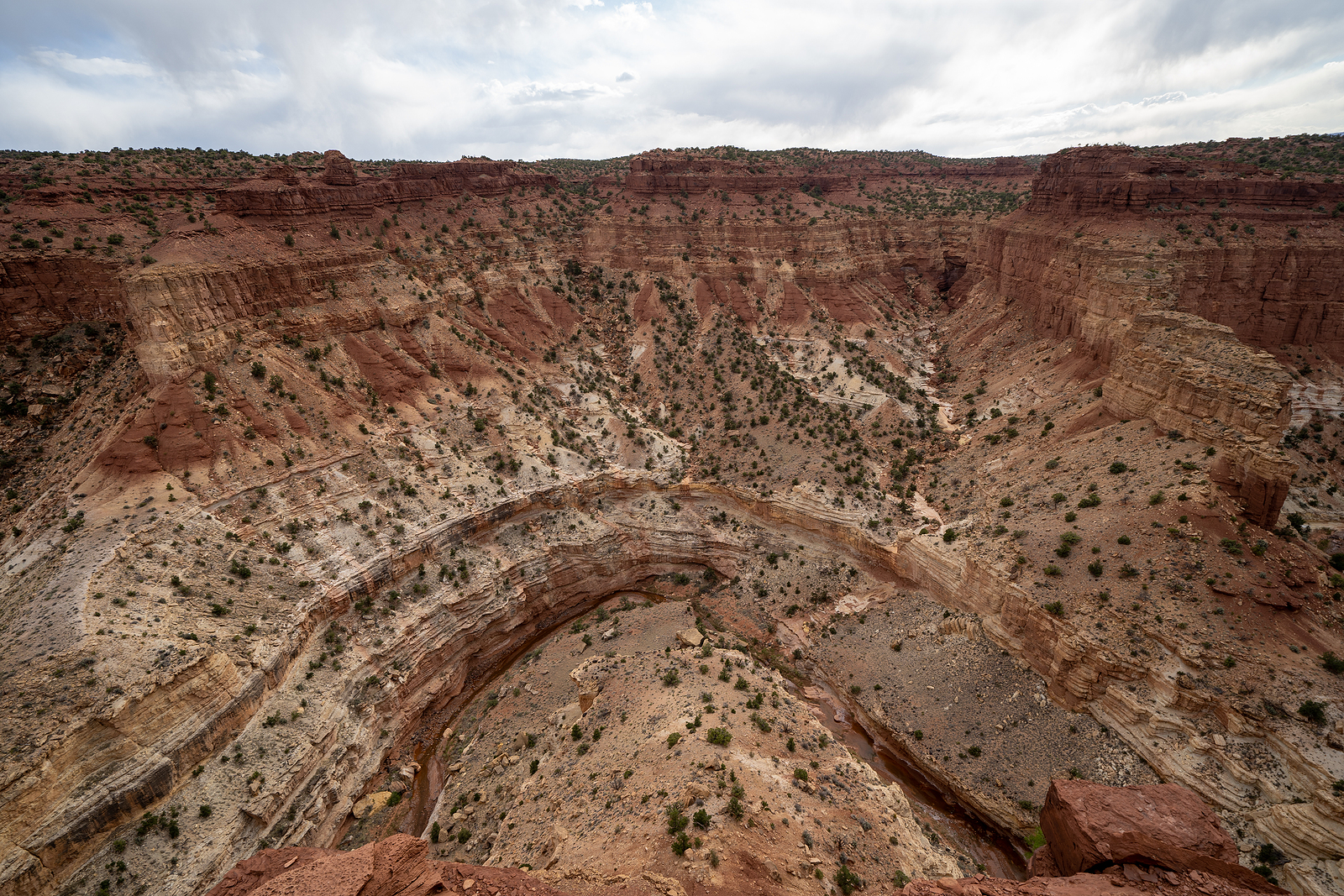 Goosenecks Point Trail In Capitol Reef National Park Utah