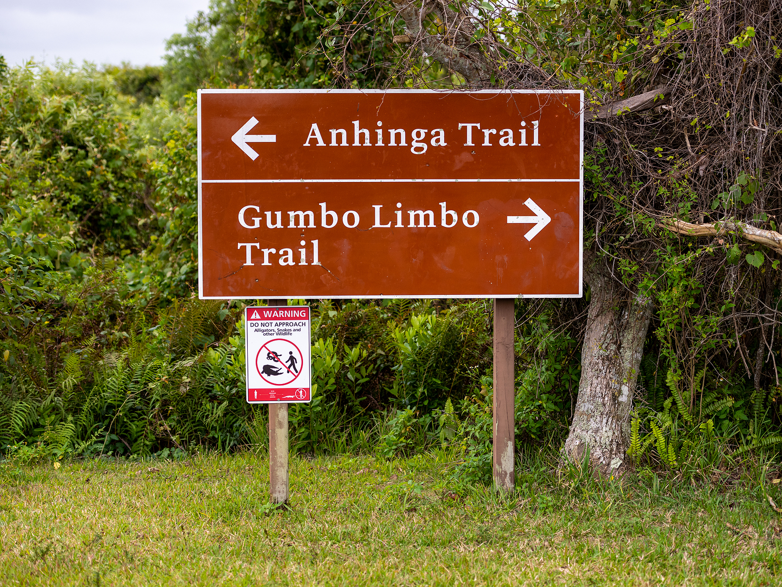 Anahinga And Gumbo Limbo Trail Directional Sign In Everglades