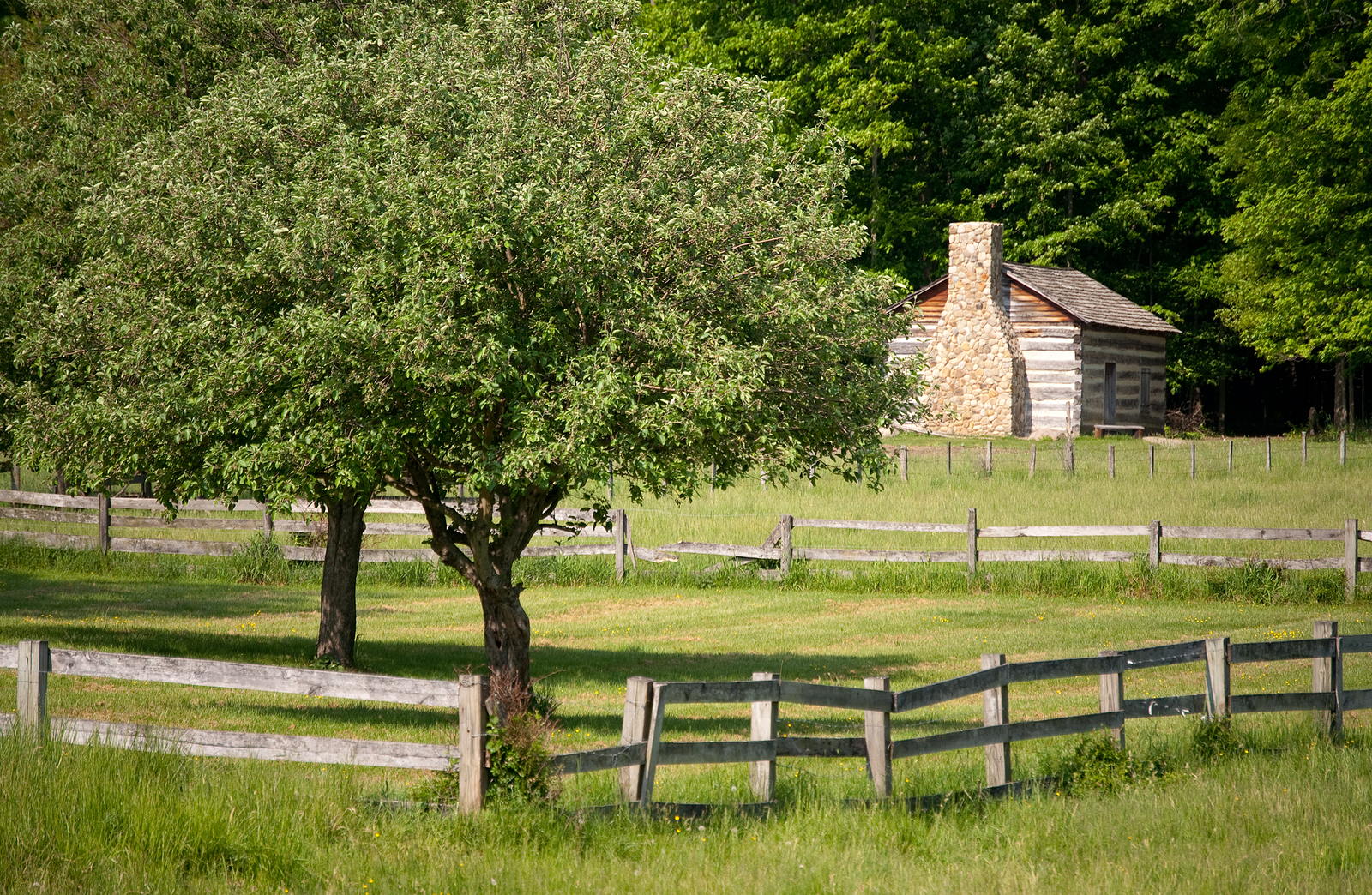 hale farm and village historic site