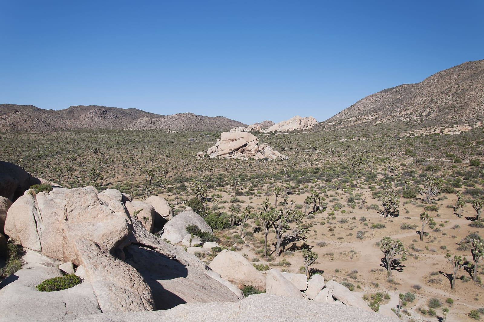 the rugged landscape at the hall of horrors area within joshua tree national park in sunny california.