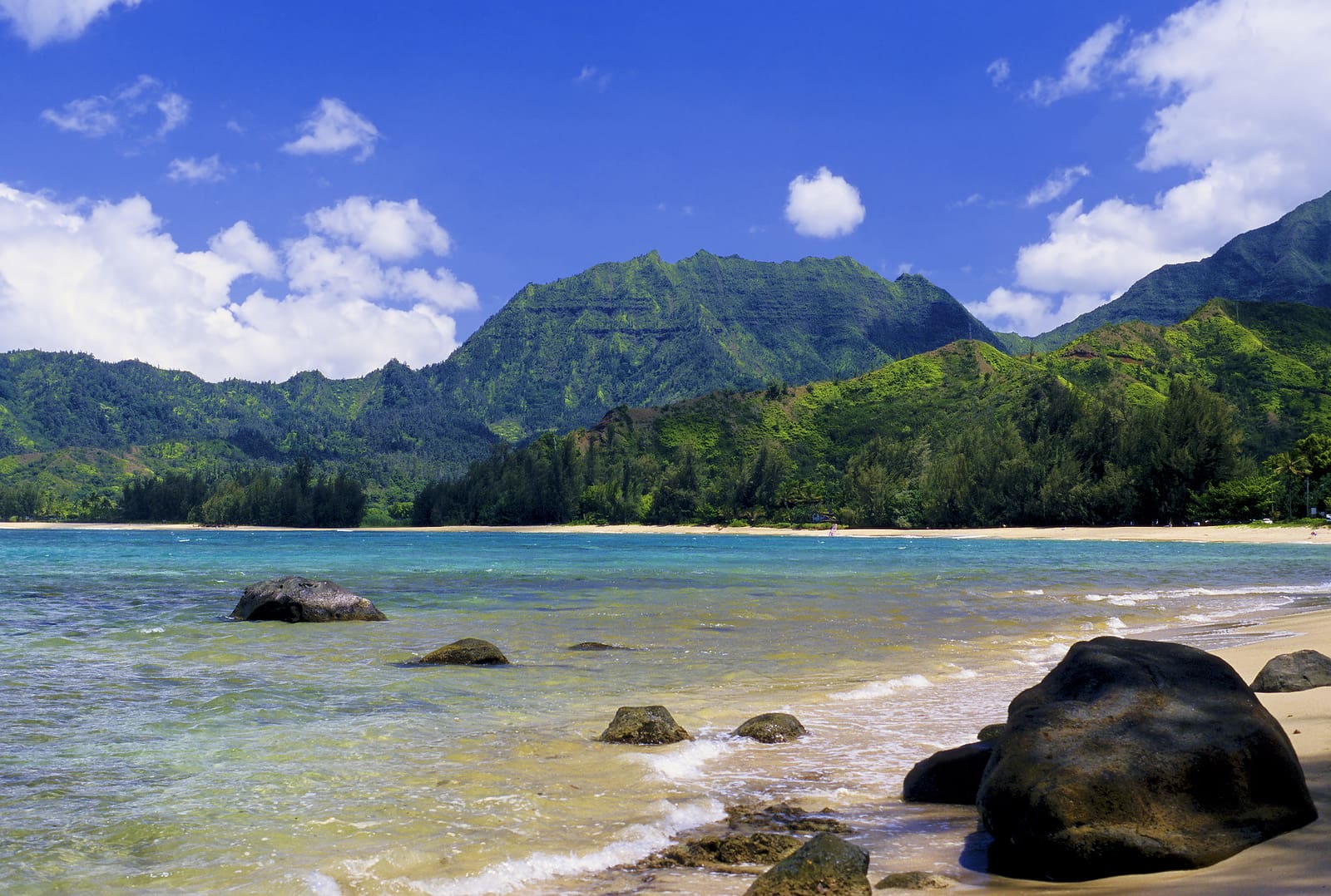 hanalei bay is one of the most picturesque locations in all of hawaii. located on the north shore of kauai.