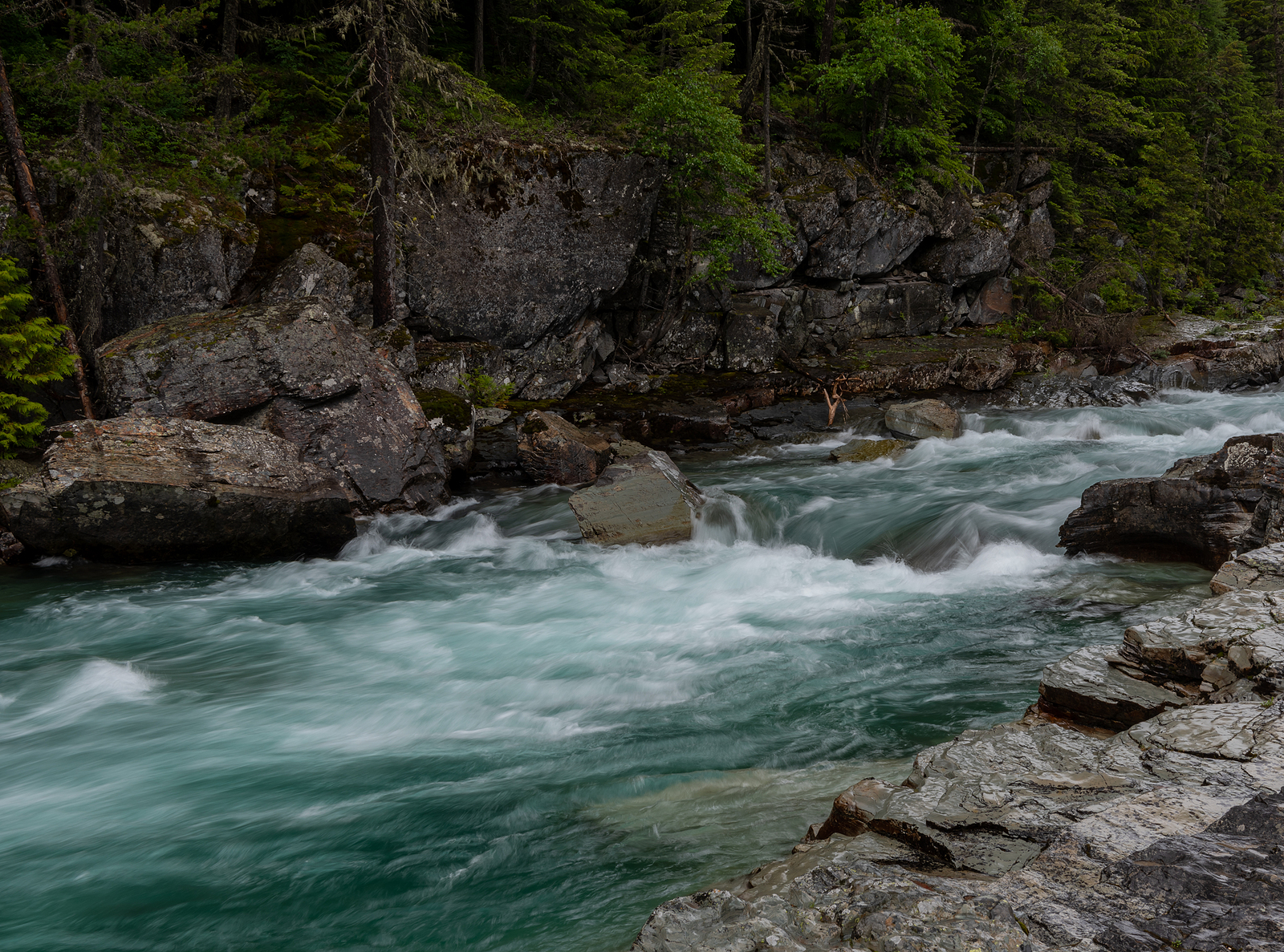 Water Rushing Through Haystack Creek In Glacier National Park