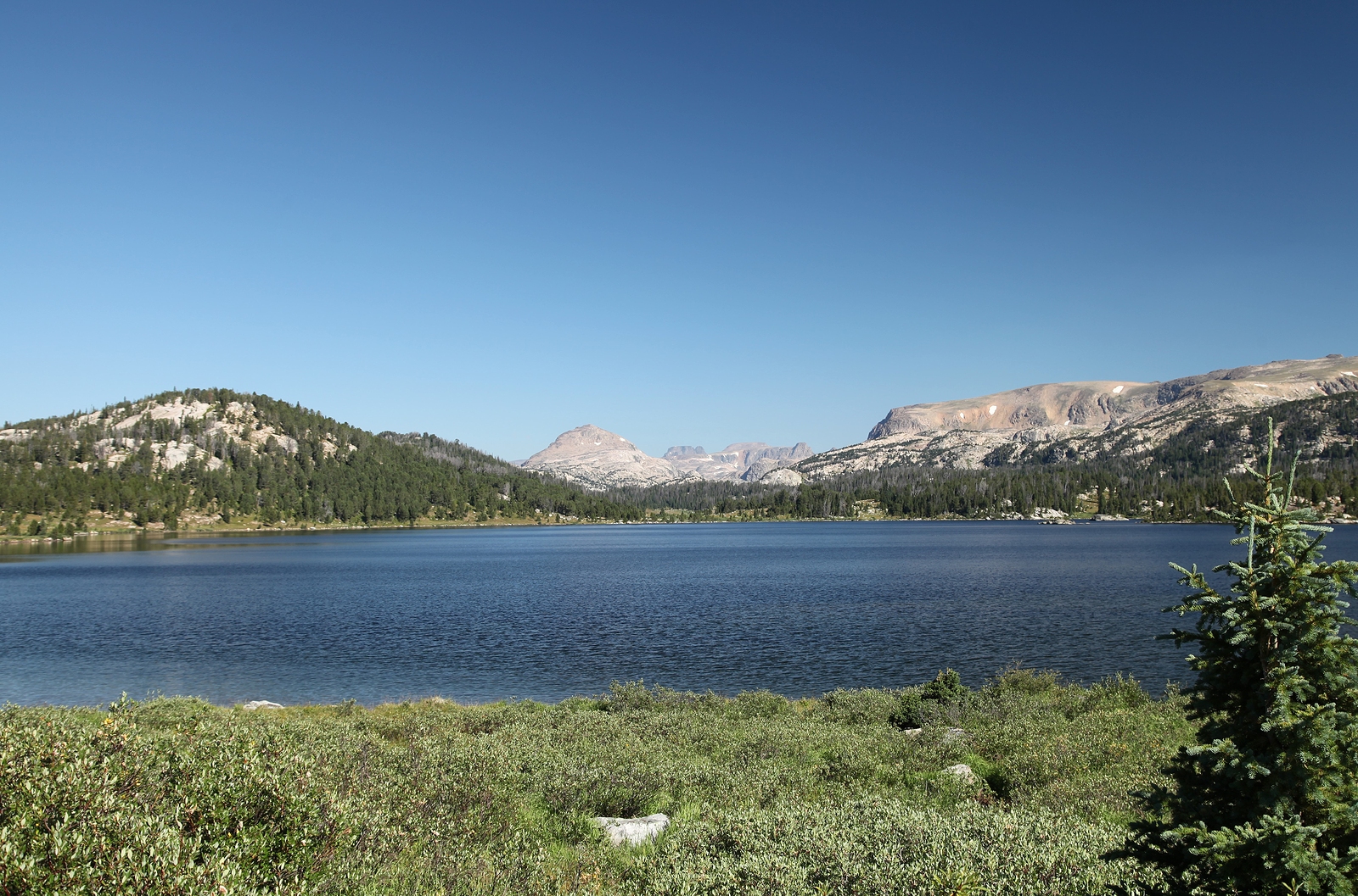 Island Lake In Shoshone National Forest In Beartooth Mountains,