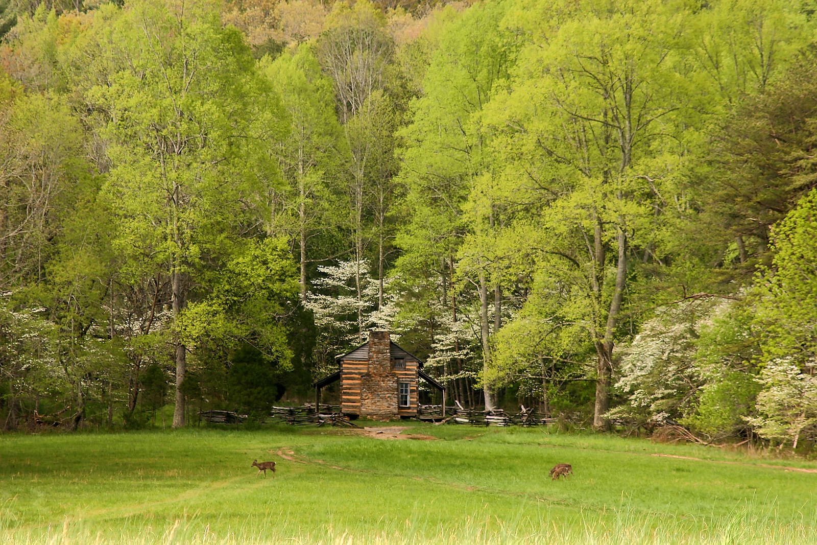 john oliver place.
great smokey mountains