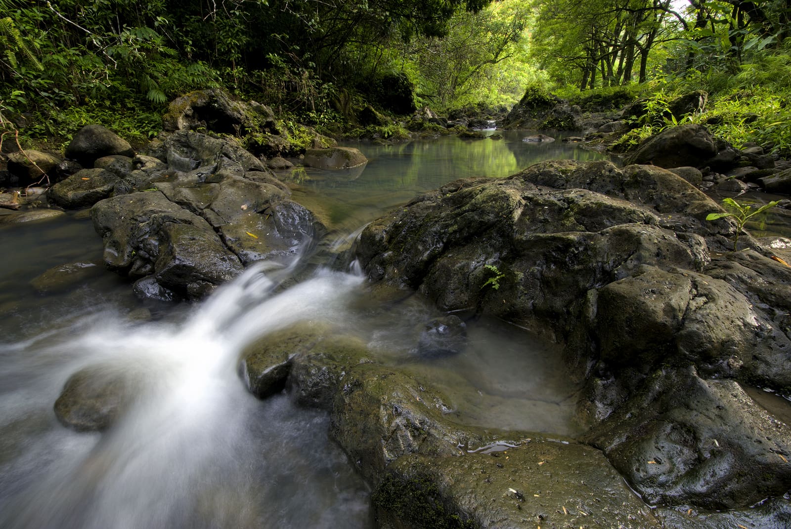Pi'ina'au stream in the Ke'anae Arboretum, Maui, Hawaii
