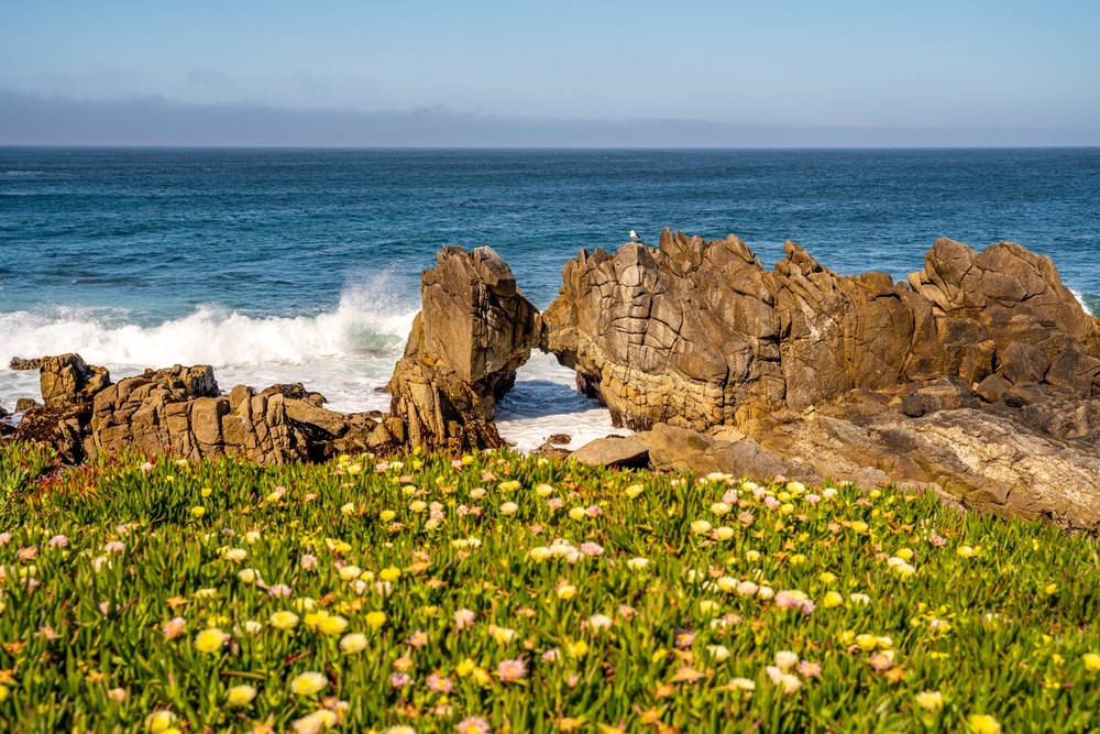 Kissing Rock