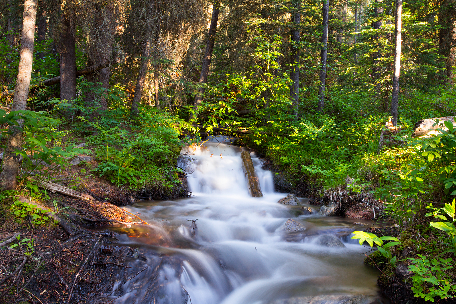 Waterfall landscape Lava Lake trailhead. Big Sky Montana.
