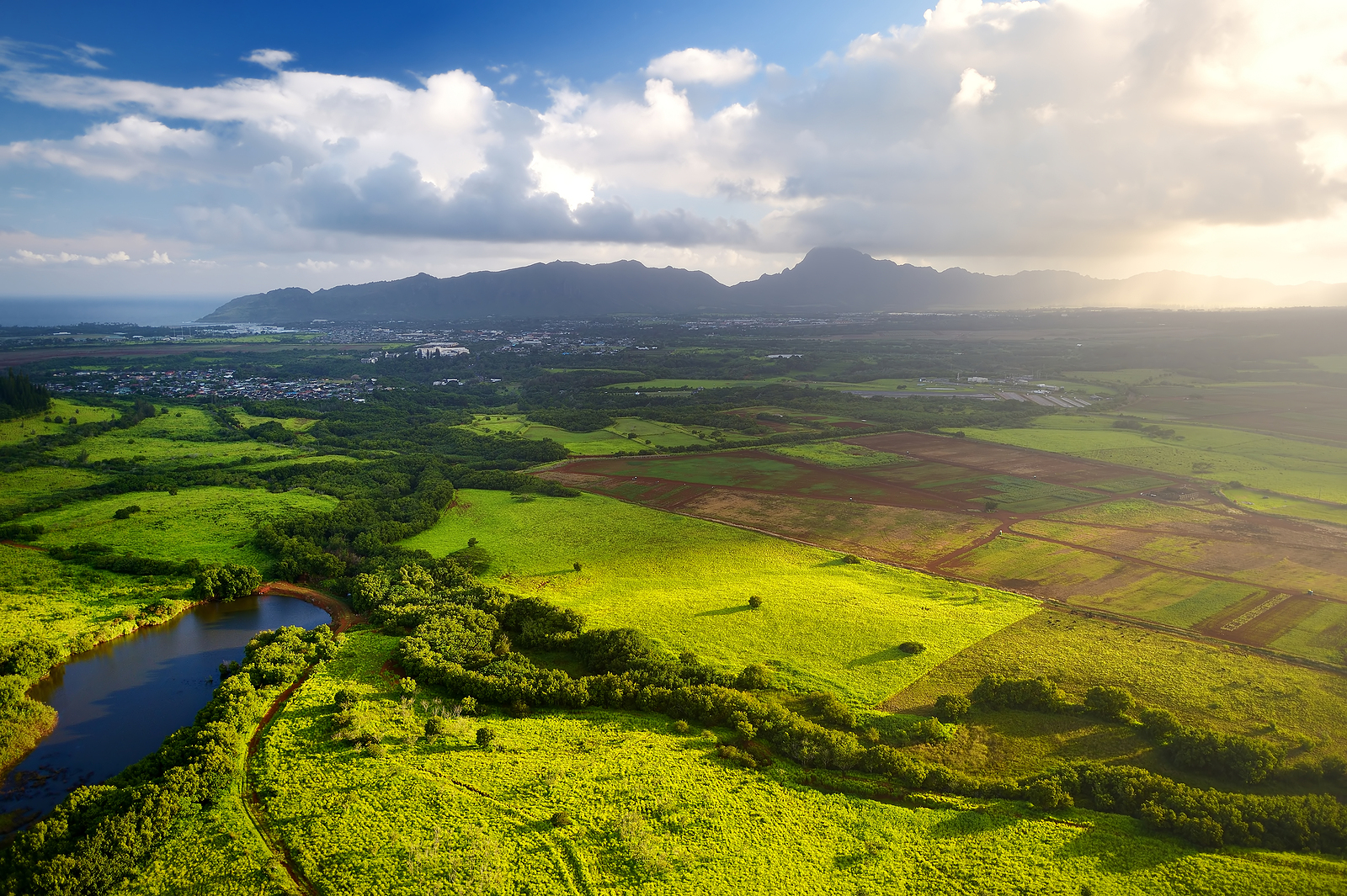 Beautiful view of spectacular jungles field and meadows of Kauai island near Lihue town Hawaii