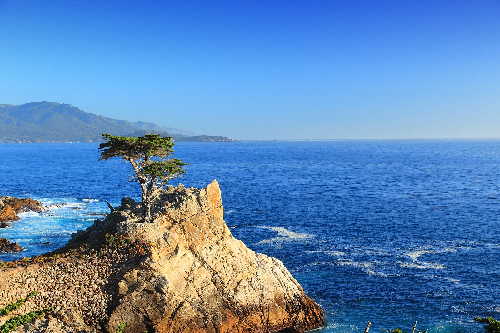 Lone Cypress, California