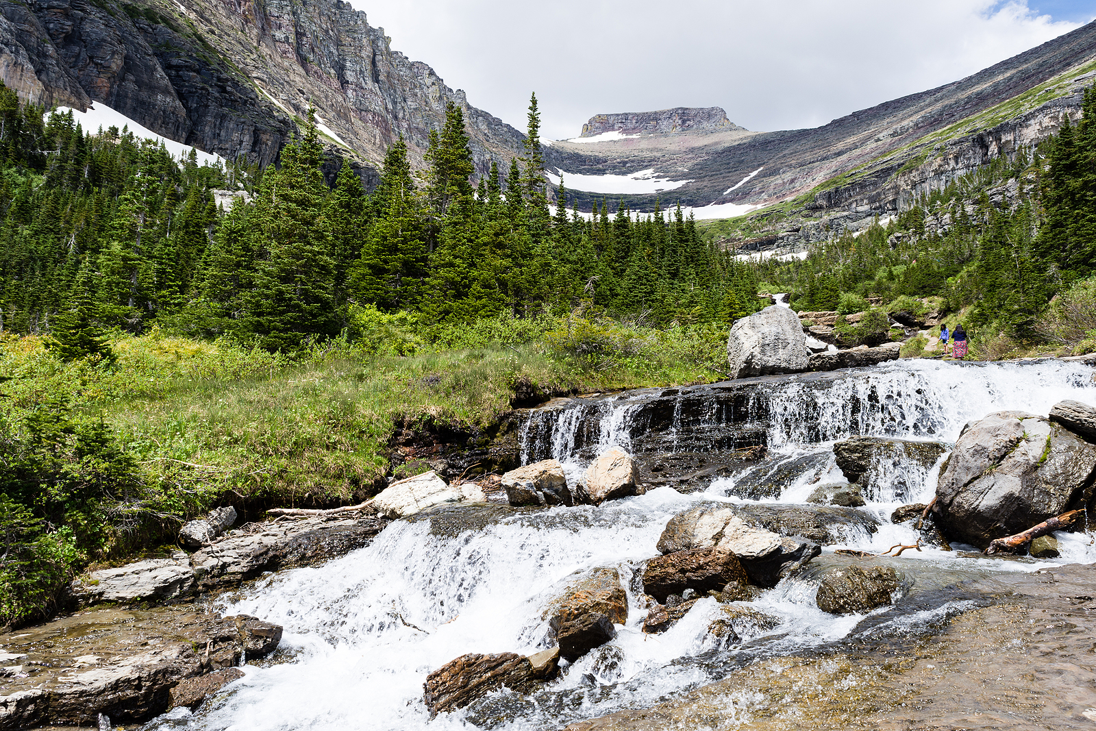 Lunch Creek In Glacier National Park, Montana, Usa