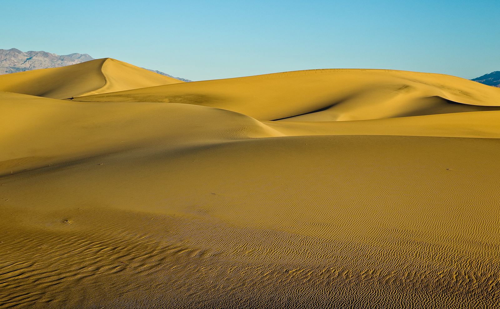 Mesquite Flat Sand Dunes