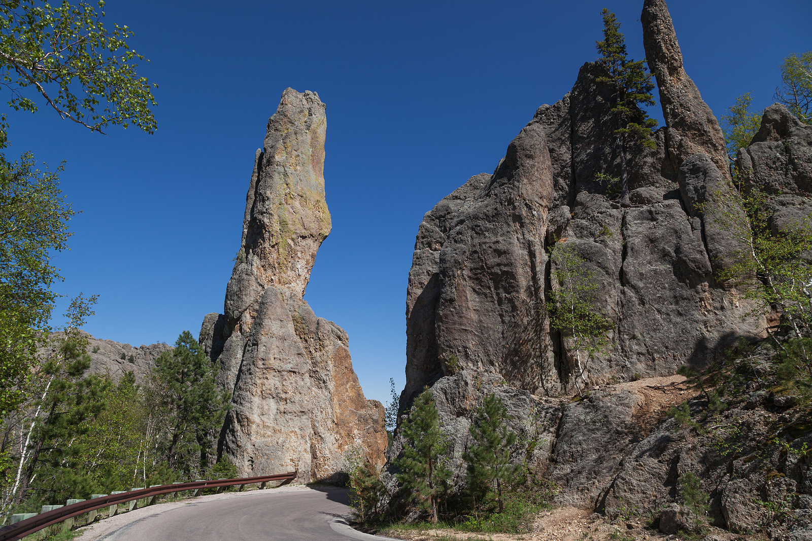Eroded Rock Formations And Trees Stand Tall Against A Clear Blue