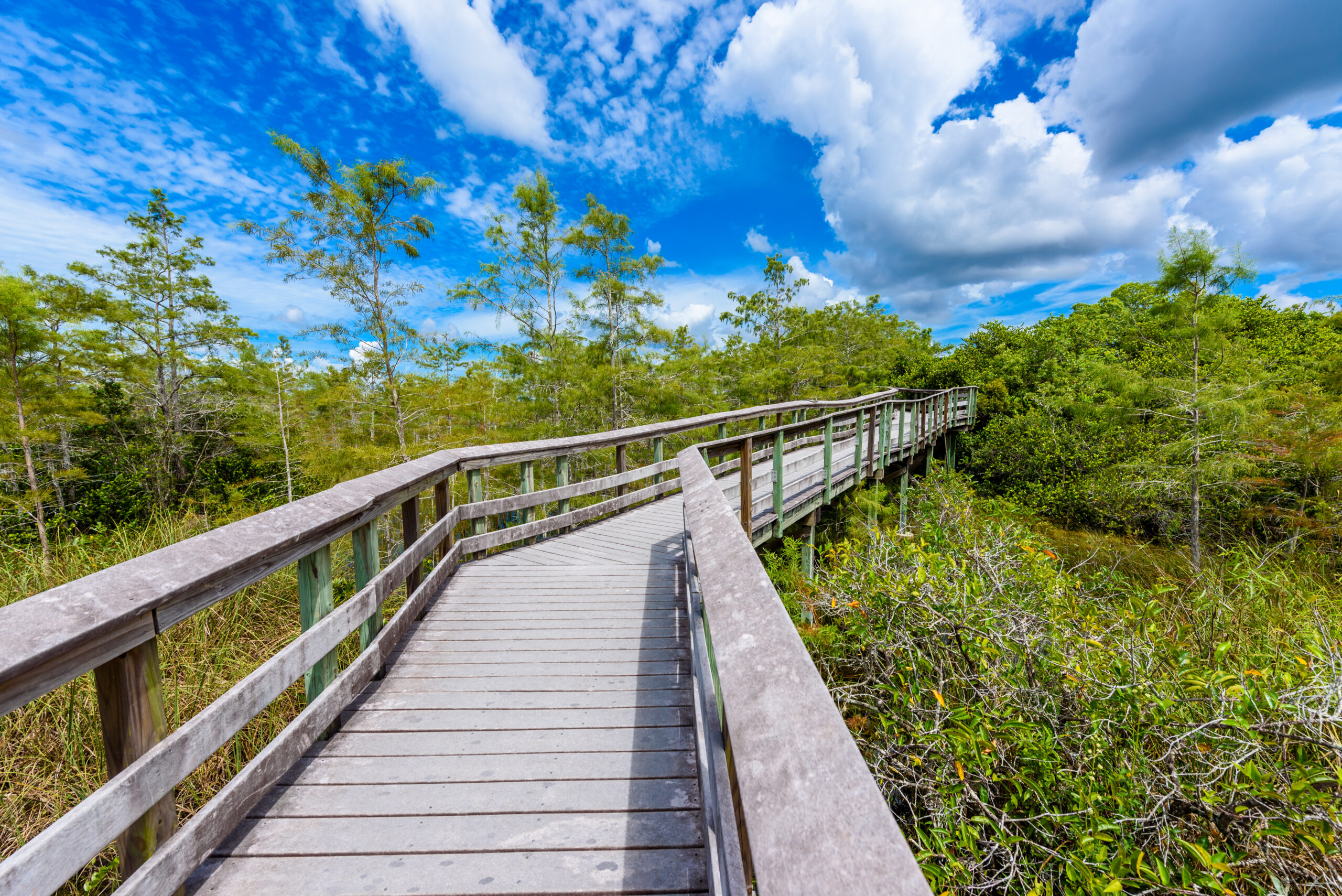 Pa-hay-okee,Lookout,Tower,And,Trail,Of,The,Everglades,National,Park.