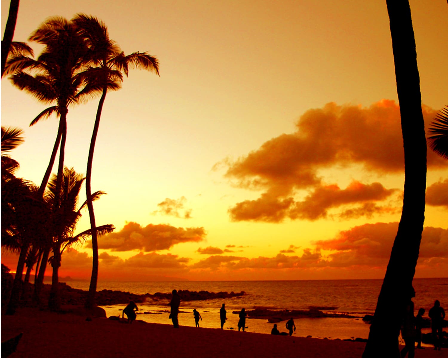 people stolling on the beach in paia maui at sunset
