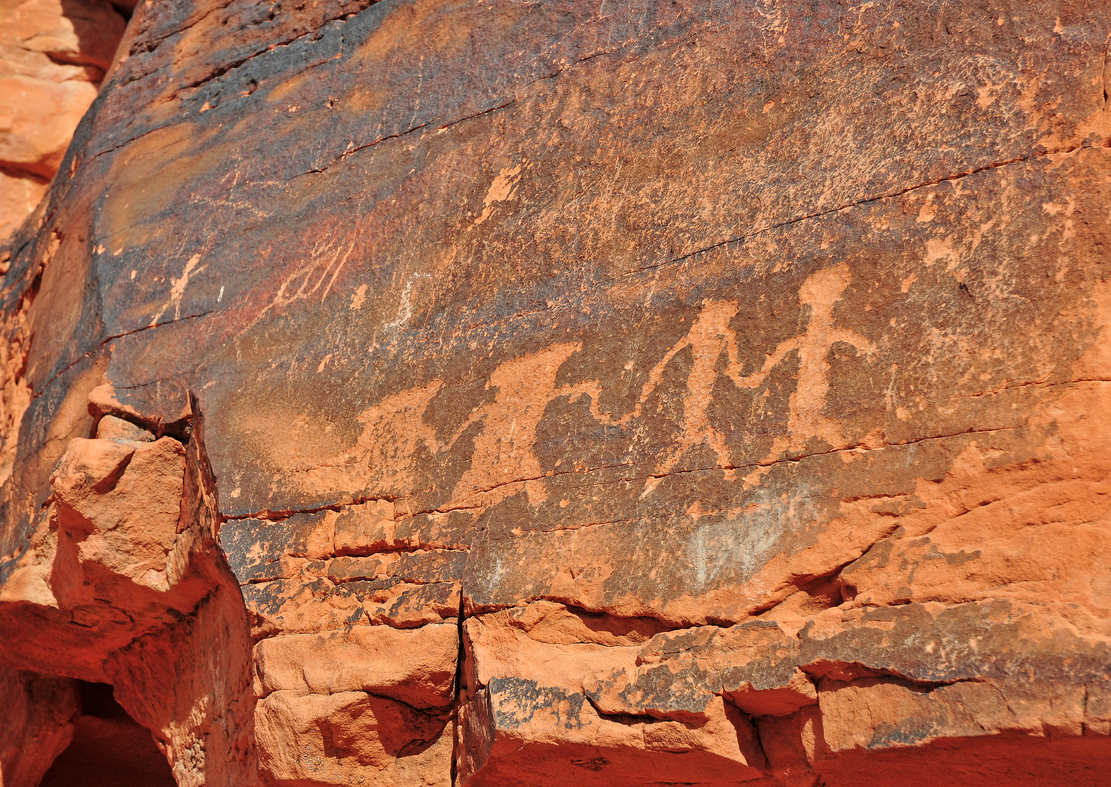 Petroglyphs in the Desert