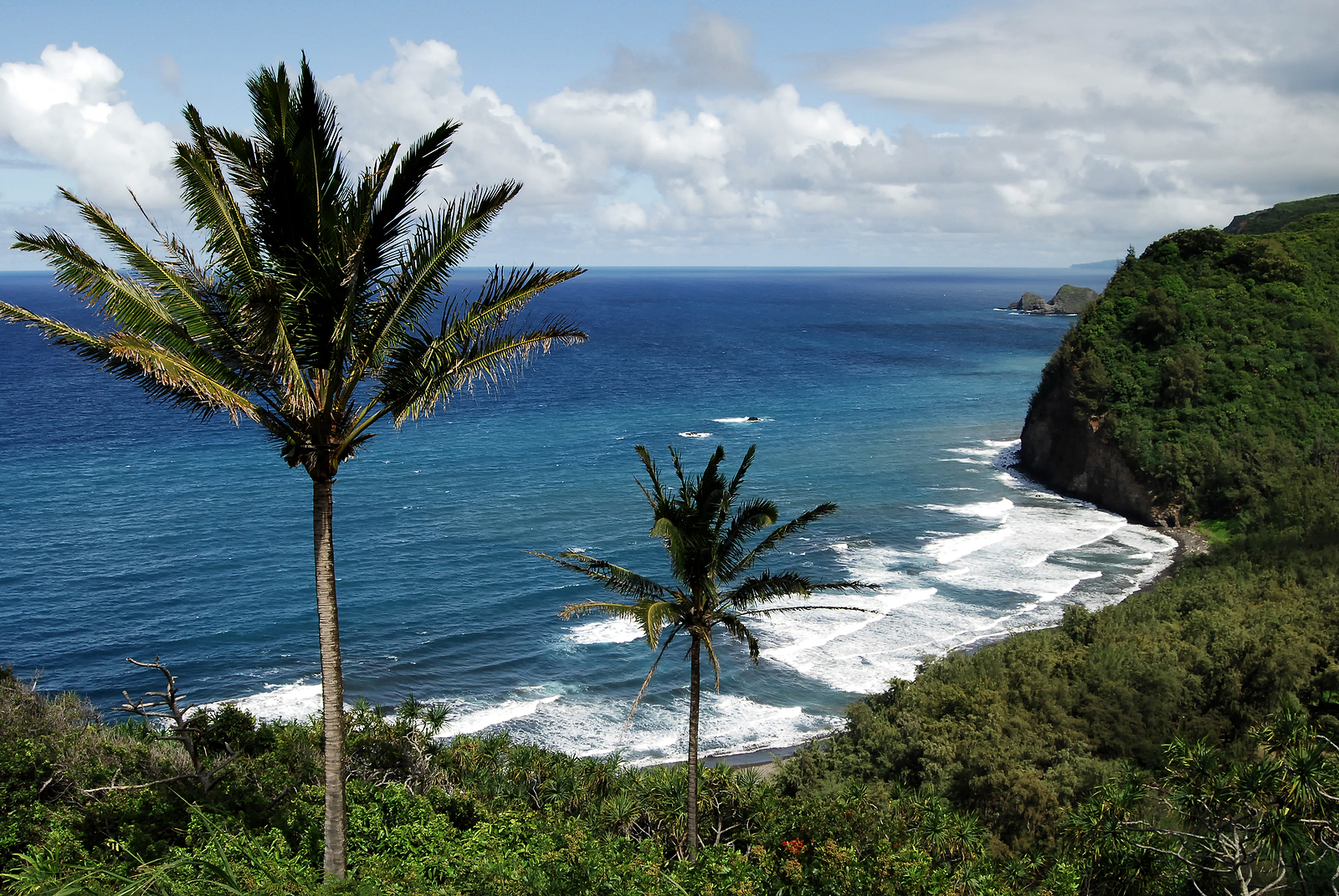 Pololu Valley Overlook