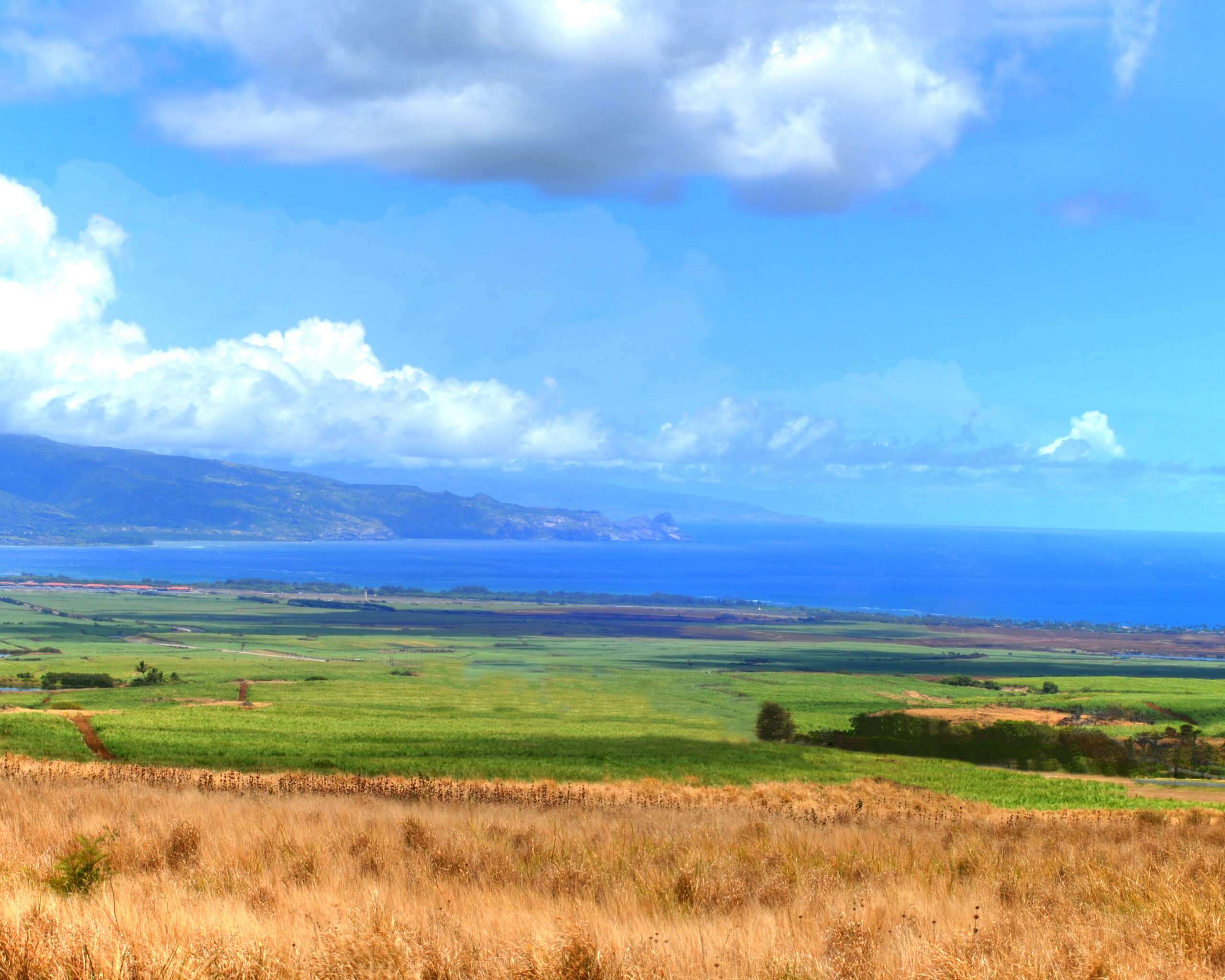 Pukalani,To,The,Harbor
