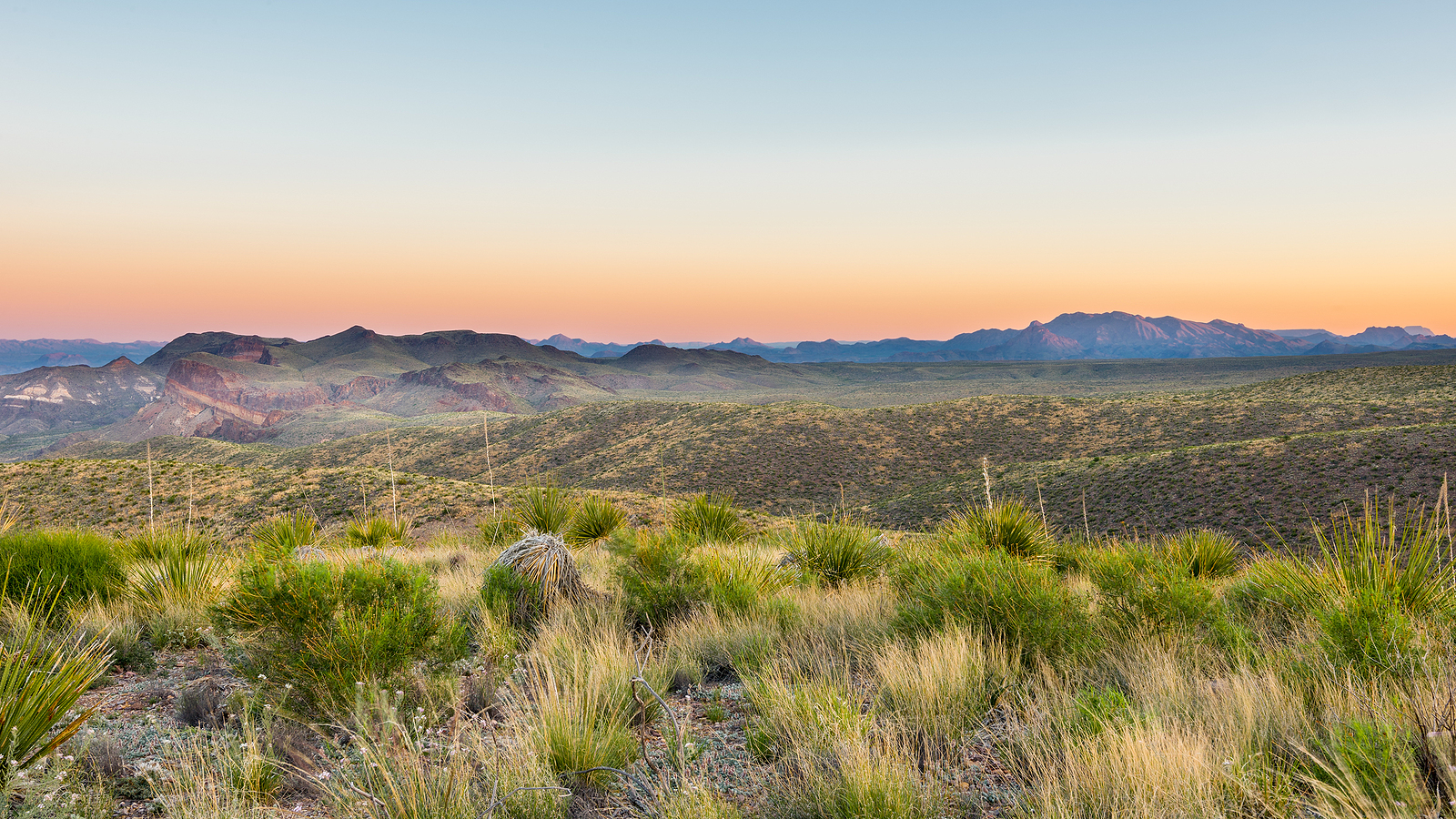 Chisos Mountains, Sotol  Vista, Big Bend National Park, TX