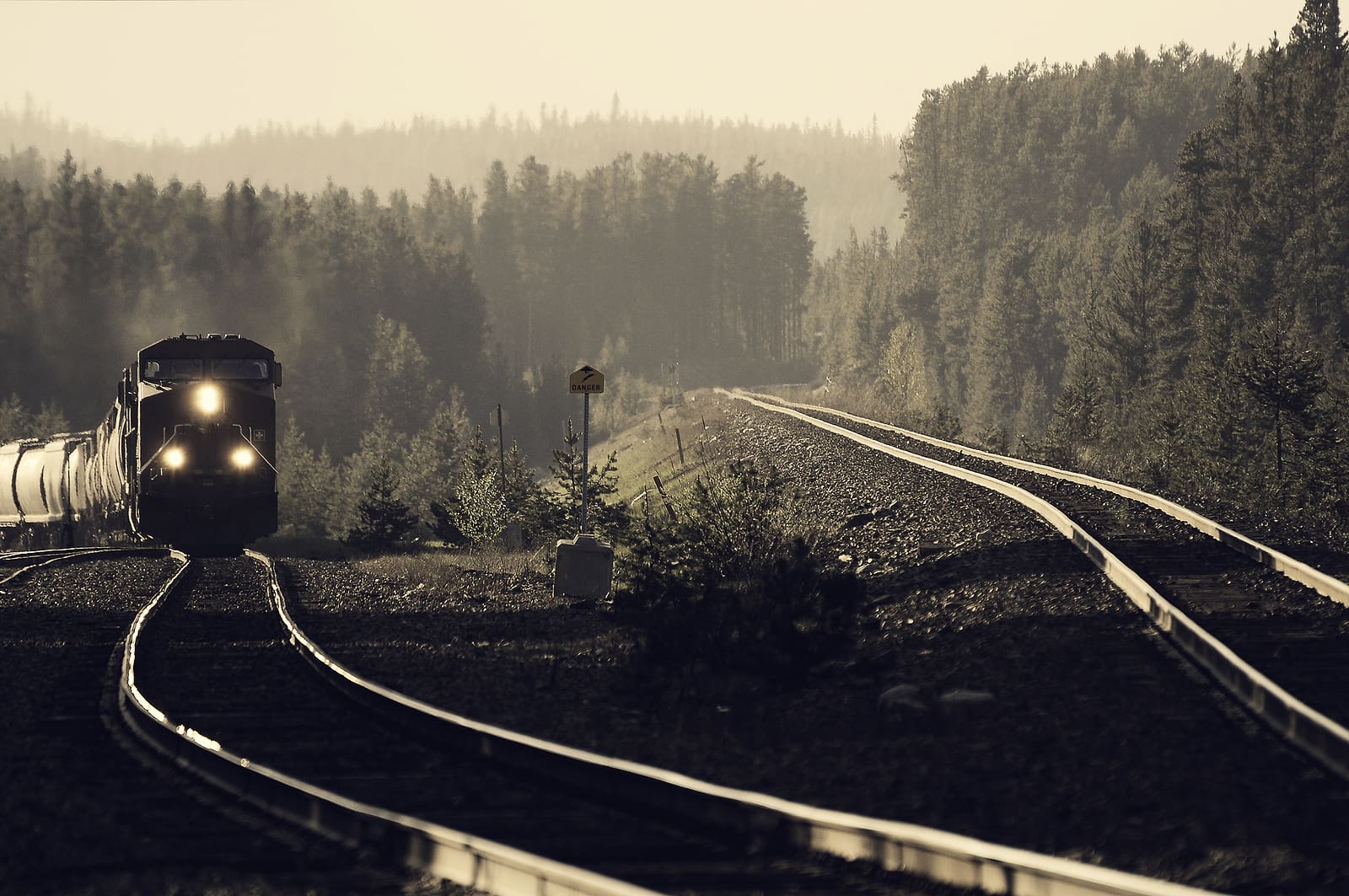 Long freight train after famous spiral tunnels goes from Vancouver to Calgary. Lake Louise station, Canada.