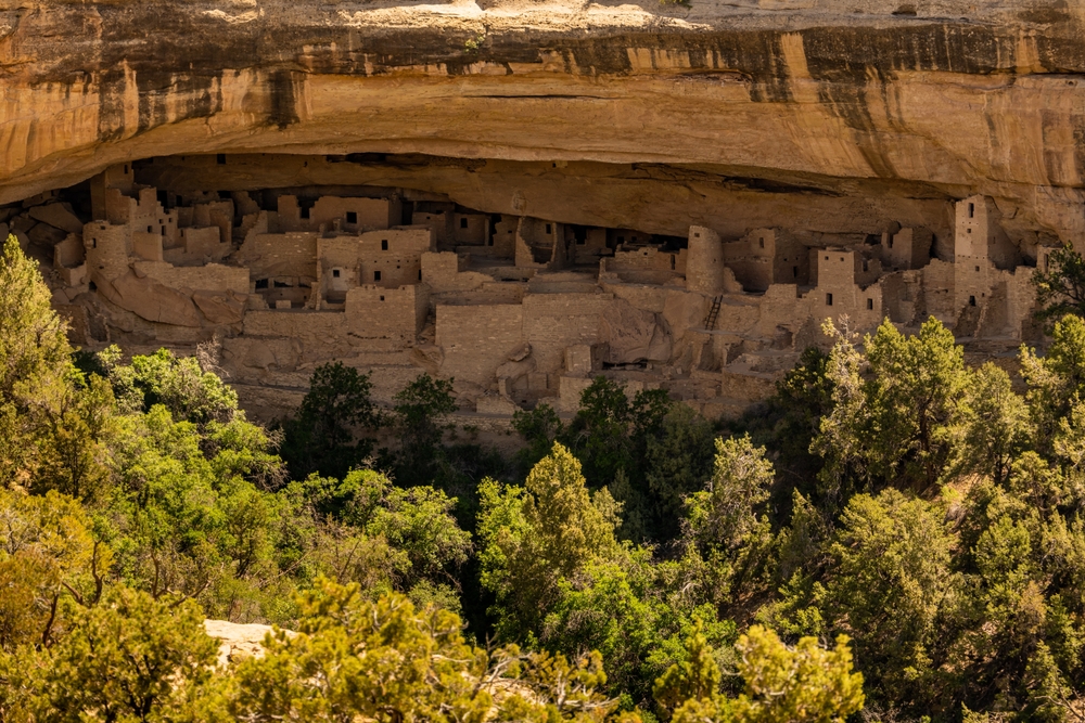 Spruce,Tree,House,Tucked,Under,Canyon,Cliff,In,Mesa,Verde
