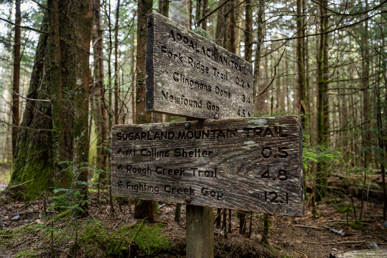 Sugarland Mountain Trail Intersection Sign In Great Smoky Mountains National Park