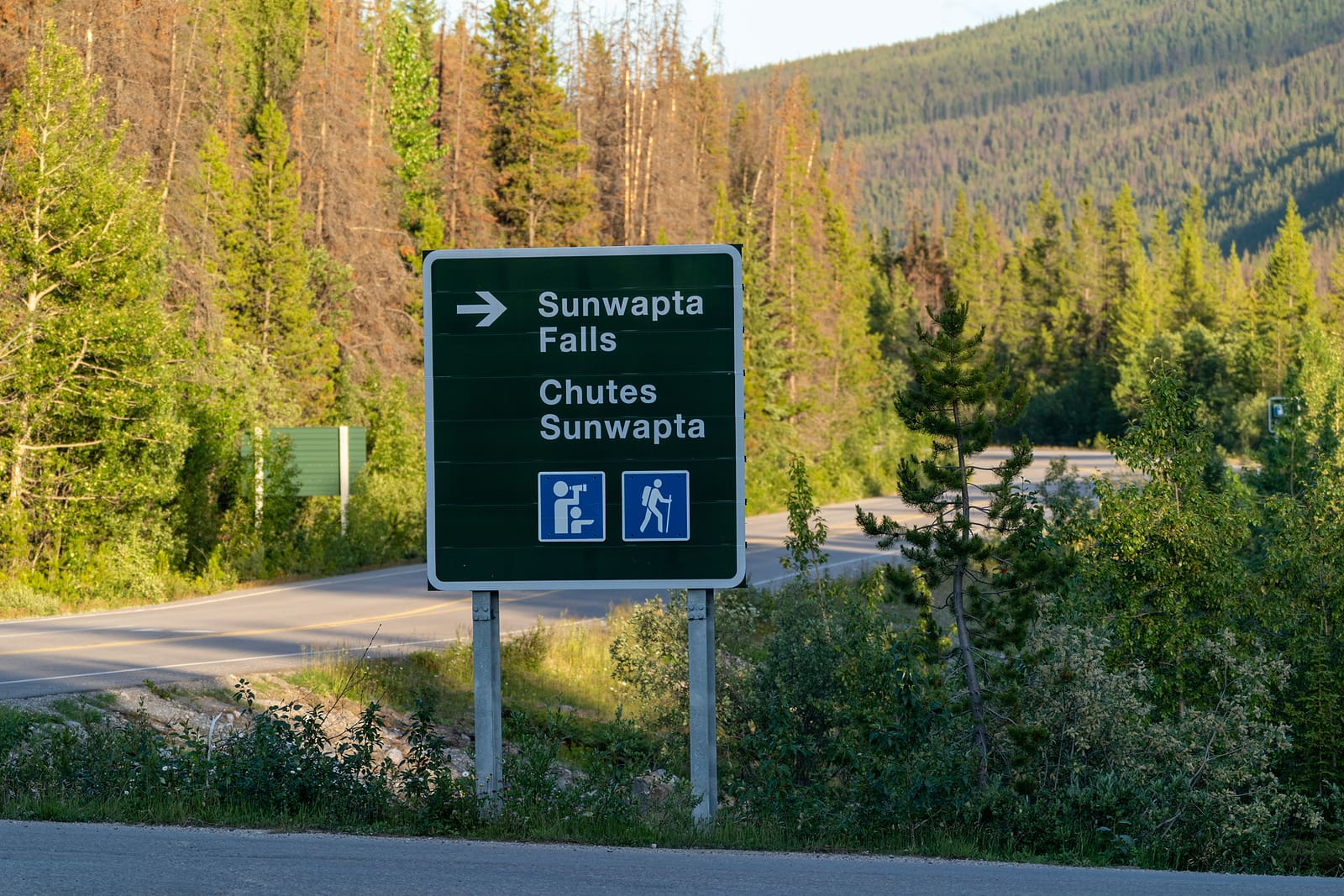 Directional sign for Sunwapta Falls waterfall tourist attaction along the Icefields Parkway in Jasper National Park