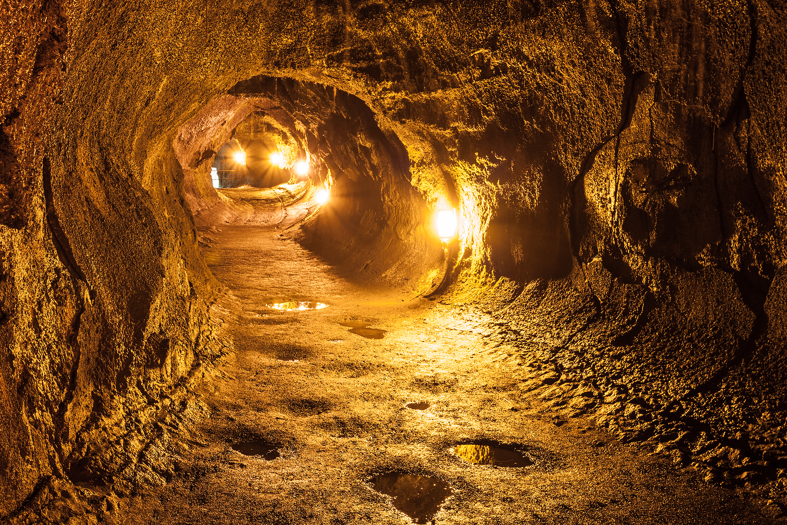 The Thurston Lava Tube in Hawaii Volcano National Park Big Island.