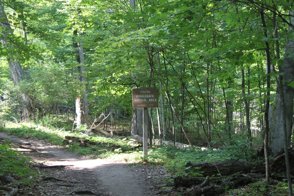 Whaleback,Nature,Area