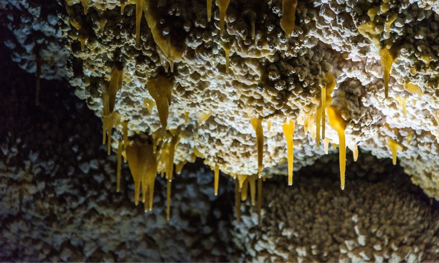Wind Cave and Jewel Cave