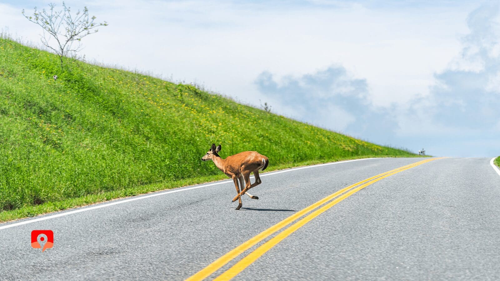 Shenandoah National Park with GyPSy Guide Driving Tour App