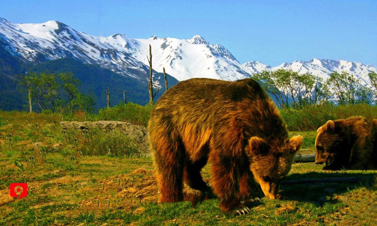 Anchorage To Seward Trip Planner Anchorage To Seward Trip Planner