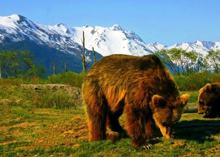 Anchorage To Seward Trip Planner
