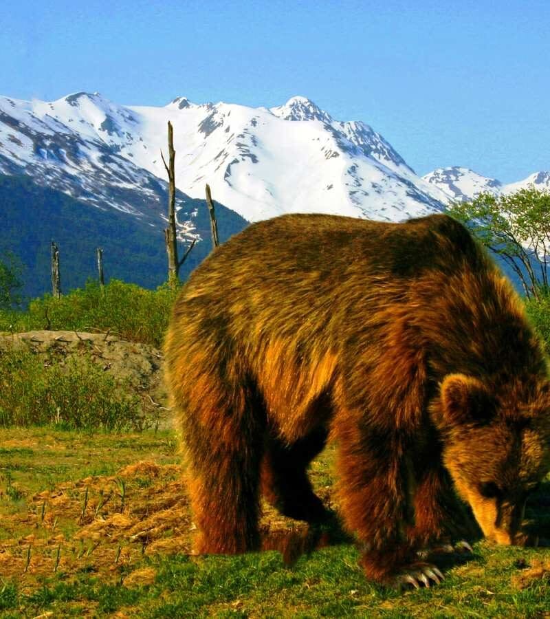 Anchorage To Seward Trip Planner
