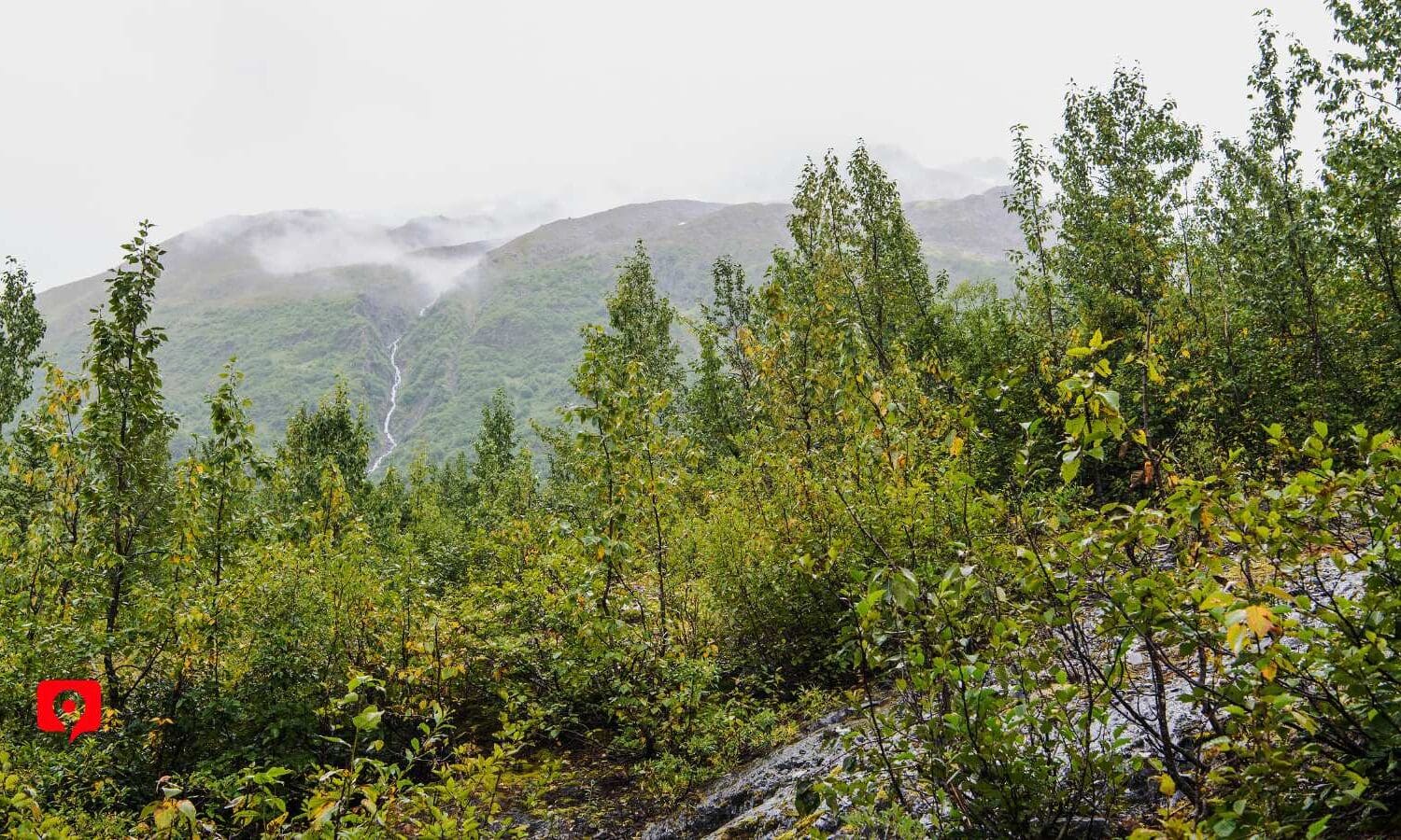 Glacier View Loop Trail